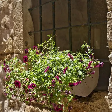 Guest house Fagotto Art Residences Chania (Crete)